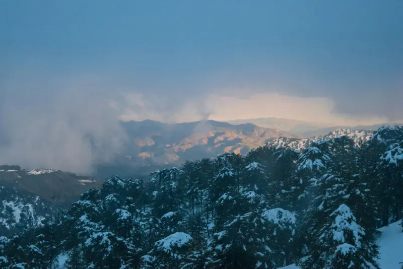 Exploring the Wonders of Troodos Mountains: A Perfect Day Trip from Paphos
