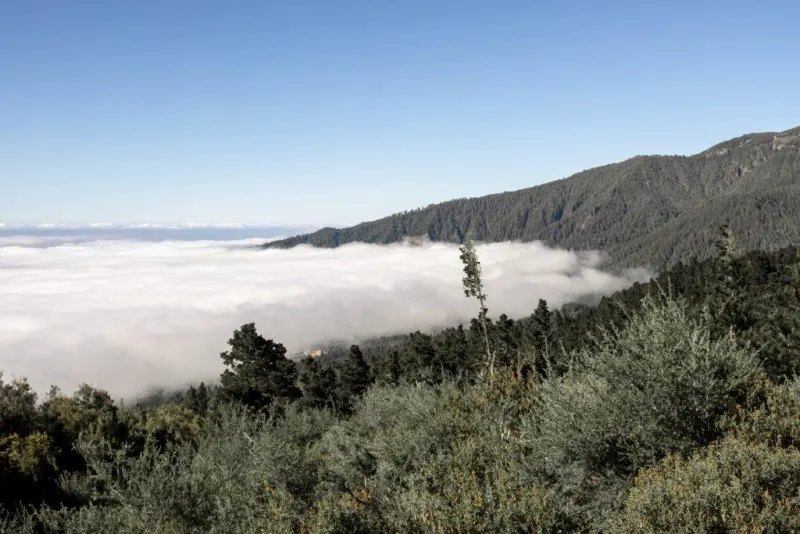 Discover the Beauty of the Troodos Mountains on an Unforgettable Excursion