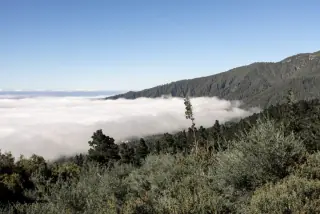 View of Troodos Mountain with a dense forest, low-lying clouds blanketing the valley, and a clear blue sky.