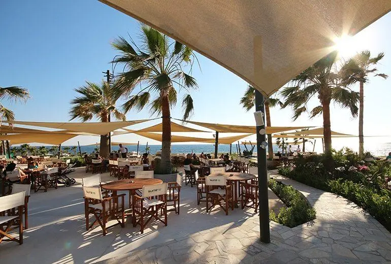 Where to Eat in Paphos: Areas & Local Dining Tips