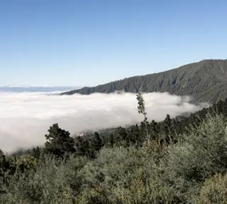 Troodos Mountain landscape